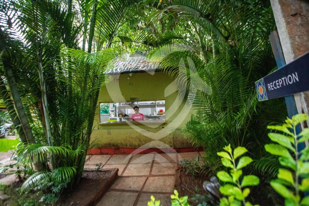 Zulu Land Cottages - Near Curlies Beach Shack And Shiva Valley - Anjuna Beach Екстериор снимка